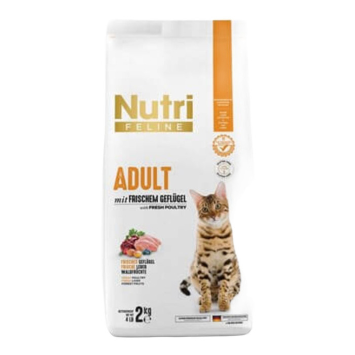 Açık Nutri Feline Somonlu Taze Ciğer Etli Yetişkin Kedi Maması 1 Kg