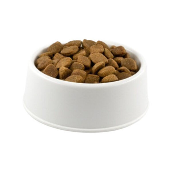 Açık Reflex Plus Büyük Irklar İçin Kuzulu Pirinçli Yetişkin Köpek Maması 1 kg