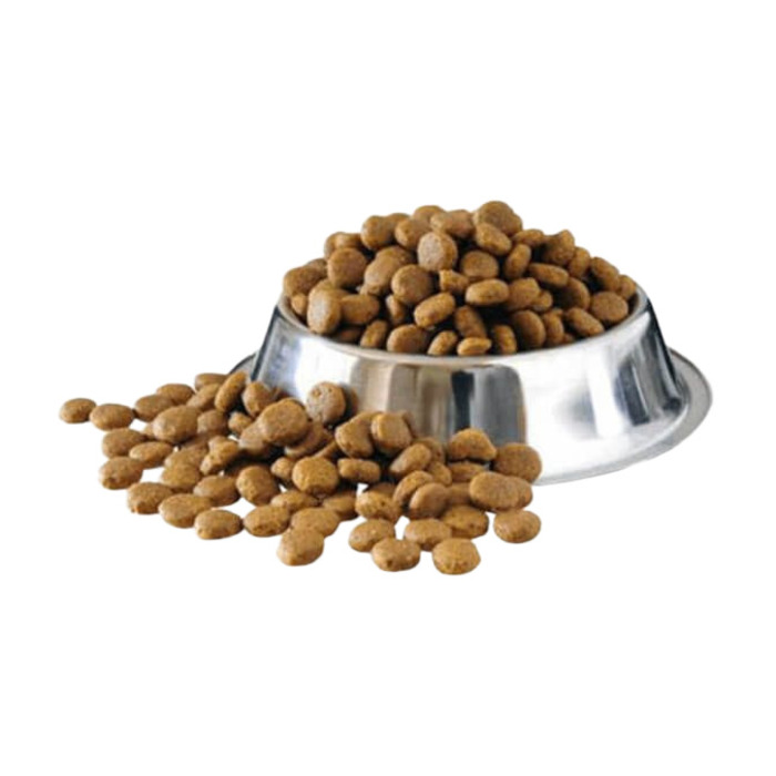 Açık How Meow Yetişkin Kuzu Etli Köpek Kuru Mama 1 kg