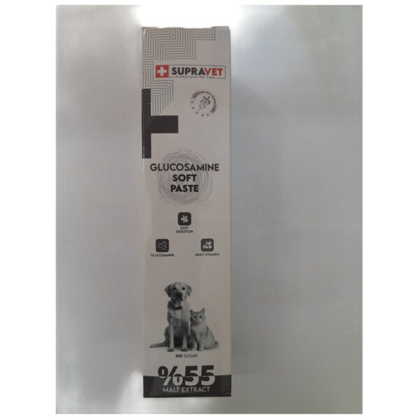 Glucosamine Kedi Ve Köpek Eklem Sağlığı Güçlendirici Glukozamin Paste 100 Gr