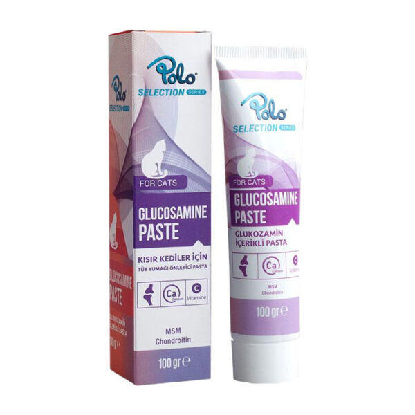 Glucosamine Paste 100 Gr