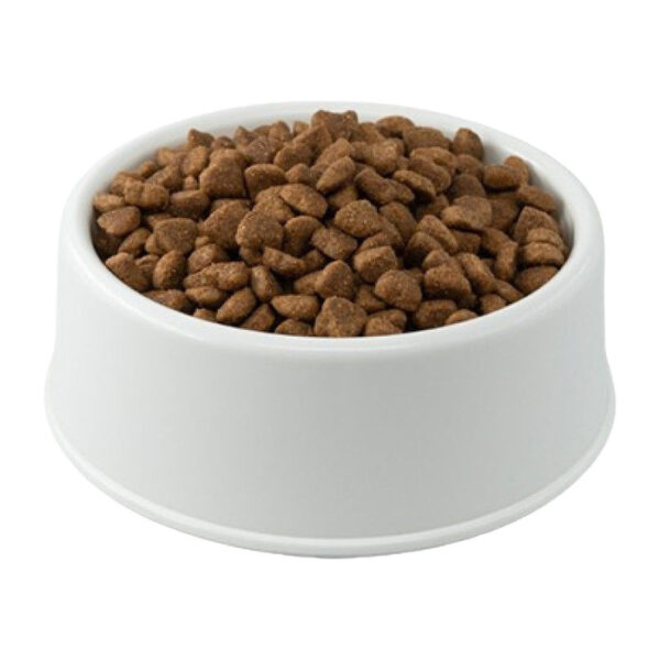 Kısırlaştırılmış Somonlu Yetişkin Kedi Kuru Maması Açık
