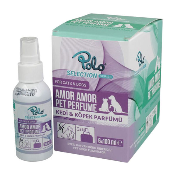 Amor Amor Parfüm 100 Ml