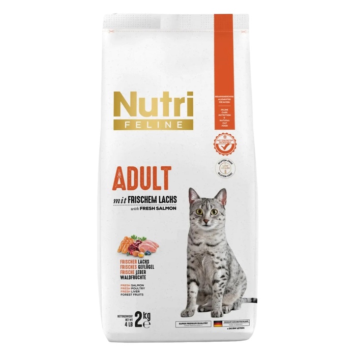 Adult Salmon Somon Balıklı Yetişkin Kediler İçin Açık