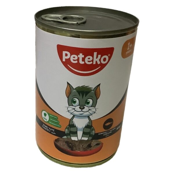 Yetişkin Somonlu Yaş Mama 400 Gr