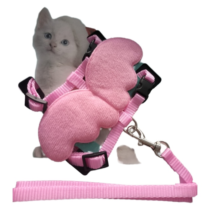 Harness For Cat Kediler İçin Tasma